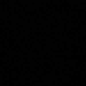 Meet your Posher, Adrienne